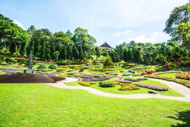 Mae Fah Luang Garden Peyzajı, Tayland.