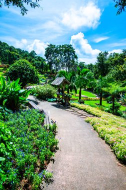 Chiang Rai bölgesindeki Mae Fah Luang Bahçesi, Tayland.