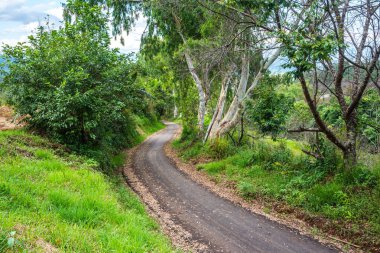 Dağdaki yol, Tayland.