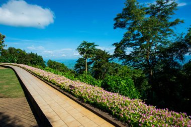 Bahçede yürü, Tayland 'da.
