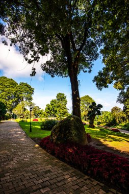Chiang Rai bölgesindeki Doi Tung Kraliyet Konağı 'nda güzel bir park..