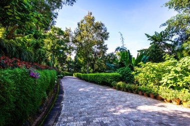 Chiang Rai bölgesindeki Doi Tung Kraliyet Konağı 'nda güzel bir park..