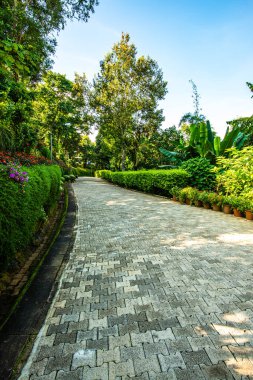 Chiang Rai bölgesindeki Doi Tung Kraliyet Konağı 'nda güzel bir park..