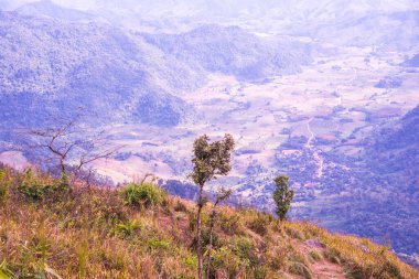 Chiangrai, Tayland 'da Phu Chi Fa' nın en iyi manzarası.