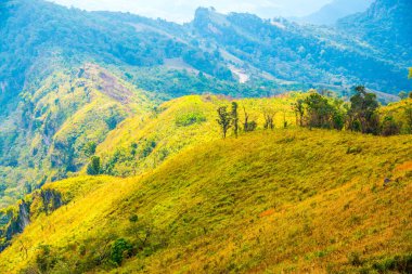Chiangrai, Tayland 'daki Phu Chi Fa Dağı manzarası.