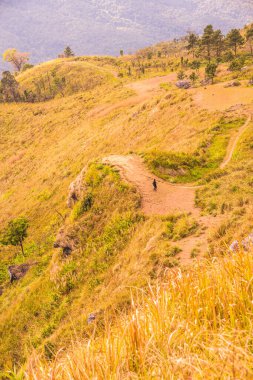 Chiangrai, Tayland 'daki Phu Chi Fa Dağı manzarası.