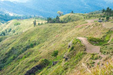 Chiangrai, Tayland 'daki Phu Chi Fa Dağı manzarası.