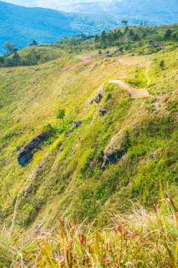 Chiangrai, Tayland 'daki Phu Chi Fa Dağı manzarası.