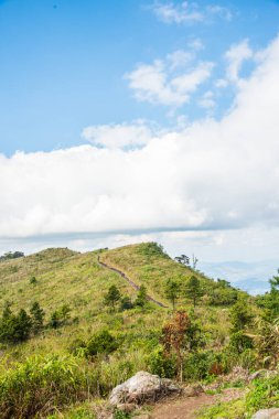 Chiangrai, Tayland 'daki Phu Chi Fa Dağı manzarası.