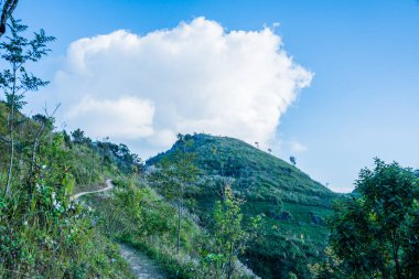 Tayland 'ın Chiangrai ilindeki Doi Pha Tang Dağı manzarası.