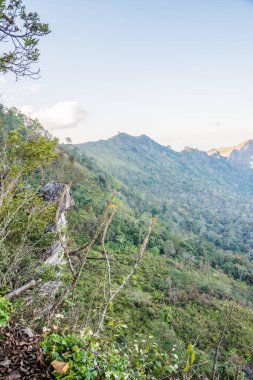 Tayland 'ın Chiangrai ilindeki Doi Pha Tang Dağı manzarası.