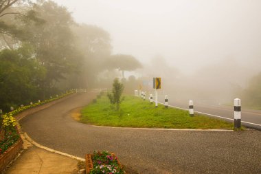 Tayland 'ın Phayao eyaletinde kış mevsiminde sisli yol.