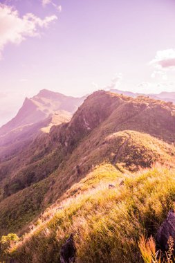 Tayland 'ın Chiangrai ilindeki Doi Pha Tang Dağı manzarası.