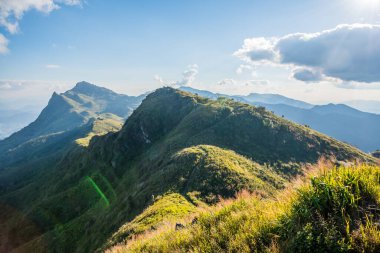 Tayland 'ın Chiangrai ilindeki Doi Pha Tang Dağı manzarası.