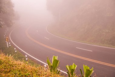 Tayland 'ın Phayao eyaletinde kış mevsiminde sisli yol.