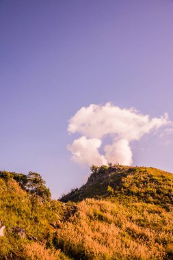 Tayland 'ın Chiangrai ilindeki Doi Pha Tang Dağı manzarası.