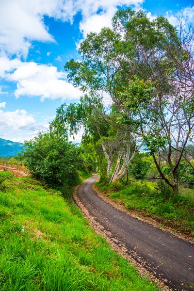 Dağdaki yol, Tayland.