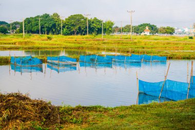 Tayland 'da balık kafesleri.