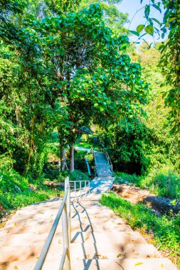 Ulusal Park, Tayland 'da beton merdiven.