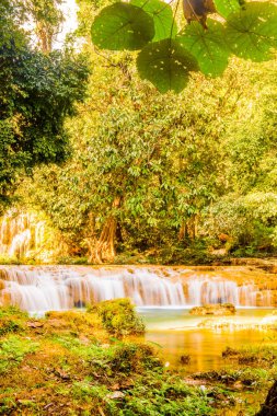Tansawan Şelalesi Doi Phu Nang Ulusal Parkı, Tayland.