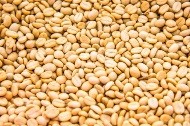 Background of coffee bean, Thailand.