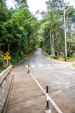 Tayland 'daki dağda küçük bir yol.