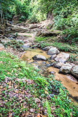 Mork Fa şelalesinin manzarası, Tayland.