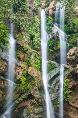 Tayland 'ın Chiangmai ilinde Mork Fa şelalesi.