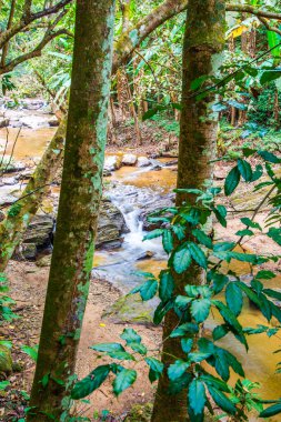Mork Fa Şelalesi 'nde su akıyor, Tayland.