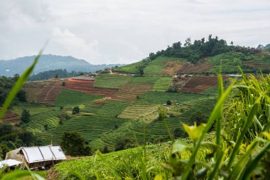 Tayland, Tayland 'da doğal manzara.