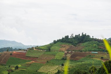 Tayland, Tayland 'da doğal manzara.
