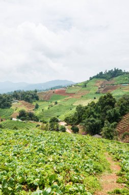 Tayland, Tayland 'da doğal manzara.