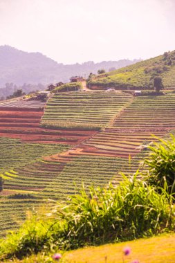Tayland, Tayland 'da doğal manzara.