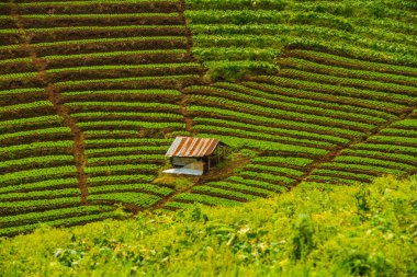 Mon Jam Turizm Merkezi, Tayland.