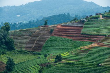 Tayland, Tayland ve Tayland 'da doğal manzara..