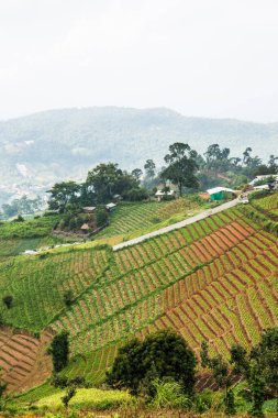 Tayland, Tayland ve Tayland 'da doğal manzara..