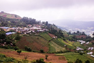 Tayland, Tayland ve Tayland 'da doğal manzara..