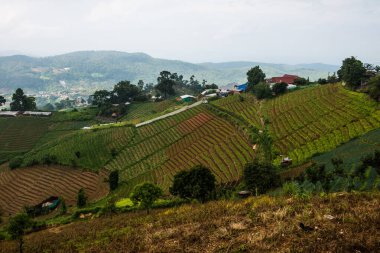 Tayland, Tayland ve Tayland 'da doğal manzara..