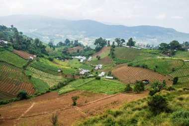 Tayland, Tayland ve Tayland 'da doğal manzara..