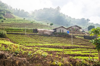 Tayland, Tayland ve Tayland 'da doğal manzara..