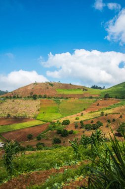 Tayland, Tayland 'da doğal manzara.