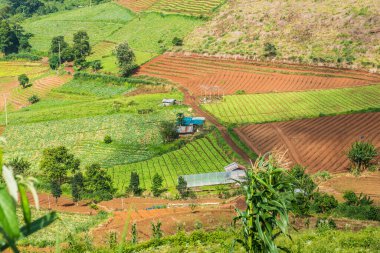 Tayland, Tayland 'da doğal manzara.