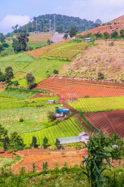 Tayland, Tayland 'da doğal manzara.