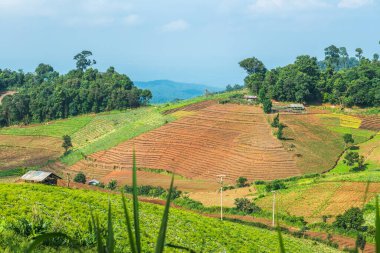 Tayland, Tayland 'da doğal manzara.