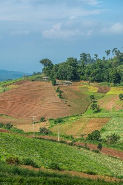 Tayland, Tayland 'da doğal manzara.