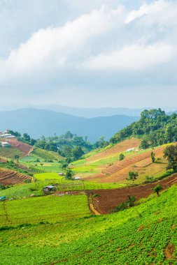 Tayland, Tayland 'da doğal manzara.