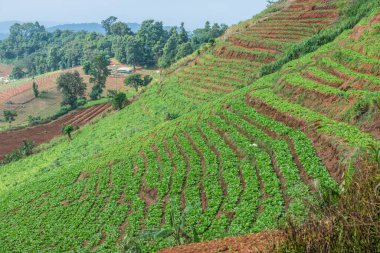 Tayland, Tayland 'da doğal manzara.
