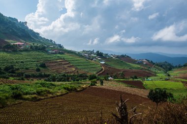 Tayland, Tayland 'da doğal manzara.