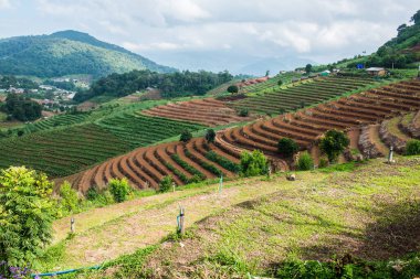 Tayland, Tayland 'da doğal manzara.