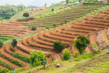 Tayland, Tayland 'da doğal manzara.